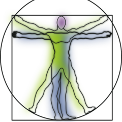 Medizinisches Symbol, Mensch dargestellt im Keis und im Quadrat stehend